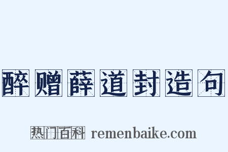 醉赠薛道封造句是什么意思的图片